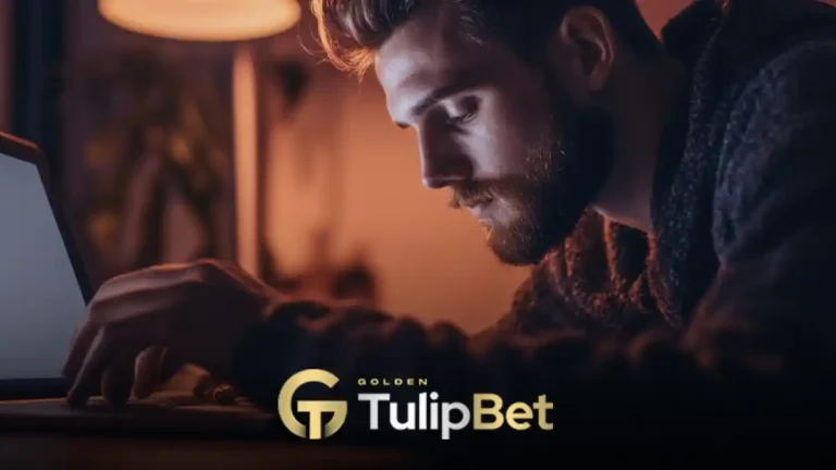 Tulipbet TV hizmeti
